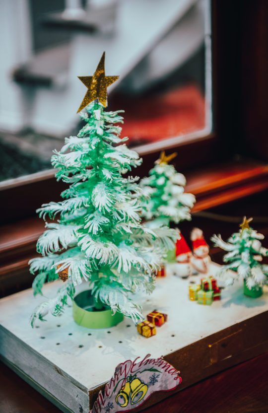 christmas-tree-on-bhaya-cruise