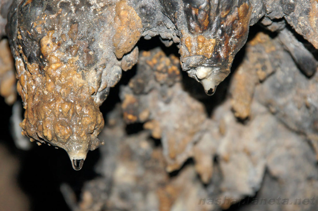 trung-trang-cave