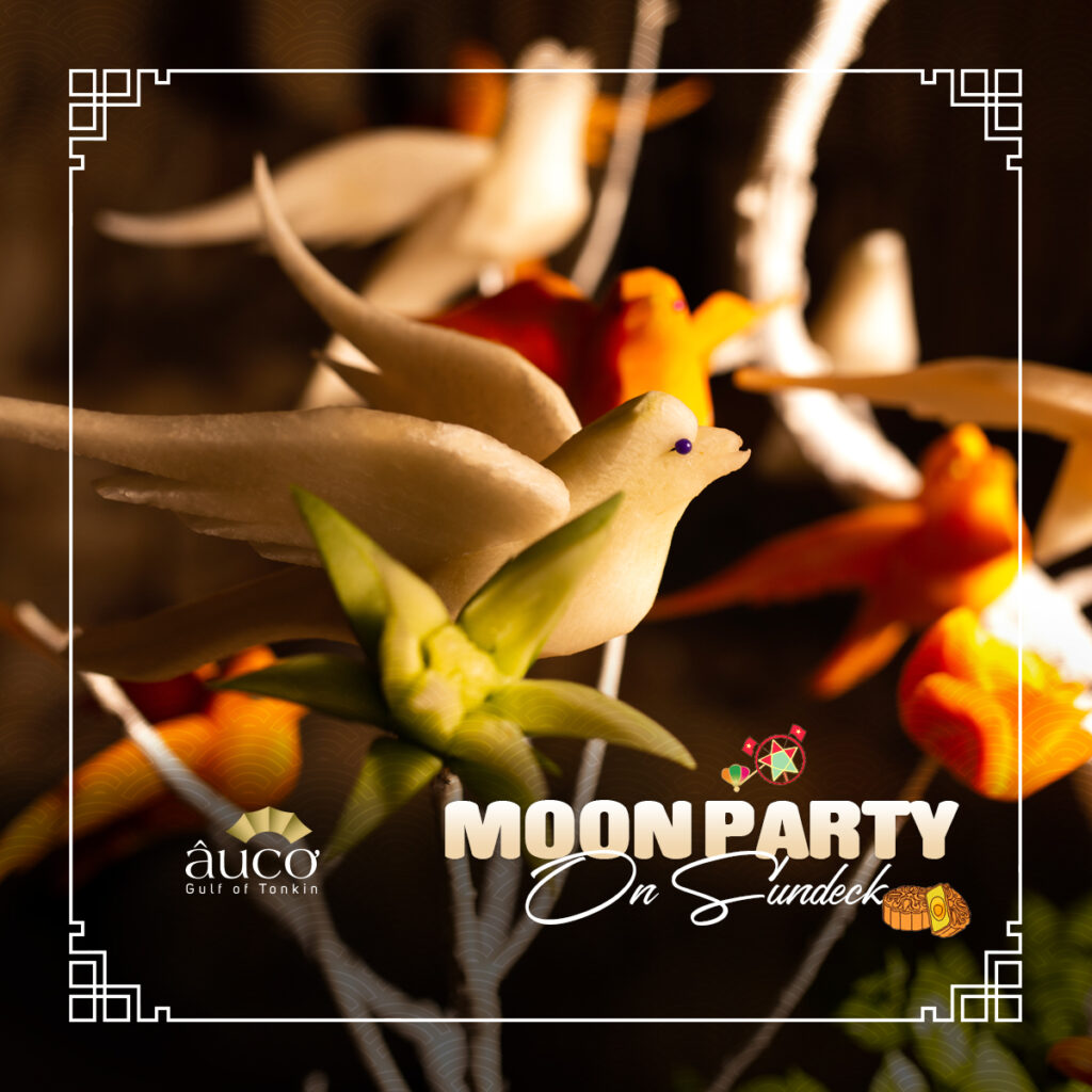 moon-party-on-sundeck-the-au-co