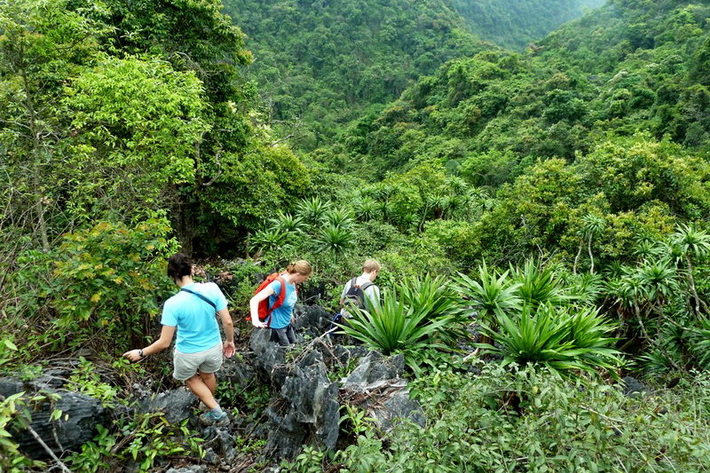 Cat-Ba-National-Park-trekking Cat-Ba-National-Park-trekking