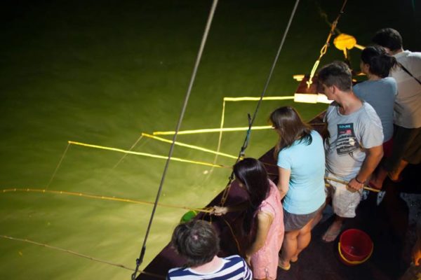 squid fishing squid fishing
