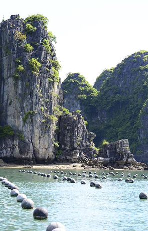 Tung Sau pearl farm Halong Bay